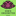 Favicon van kimsorgonitesenzo.nl