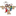 Favicon van kinderopvangkoetje.nl