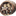 Favicon van kinderopvangotensien.nl