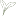 Favicon van kinderopvangpicobello.nl