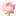 Favicon van kinderuitvaart.nl