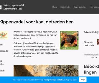 https://kippenzadel-mammientje-tien3.webnode.nl/