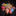 Favicon van knottenwol.nl