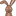 Favicon van ko-nijntje.nl
