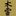 Favicon van kodama.nl