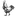Favicon van koekenij.nl