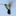 Favicon voor kolibriservices.nl