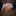 Favicon van koneksi.nl