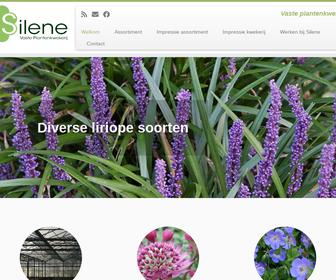 https://www.kwekerijsilene.nl