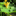 Favicon van laurasabor.nl