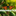 Favicon van lenouveauriche.com