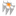 Favicon van ledplaza.com