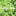 Favicon van lekkergroen.online