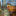Favicon van lekkerkoese.nl