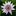 Favicon van lelypedicure.nl