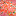 Favicon van leniekamstra.nl
