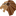 Favicon van littlelionskinderfysio.com