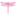 Favicon van libellealkmaar.nl