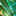 Favicon van lichtspel.nl