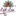 Favicon van lightoflein.nl