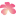 Favicon van liliwadi.nl