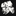 Favicon van linnallemanstudio.com