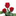 Favicon van linssenroses.com