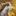 Favicon van lisadijk.com