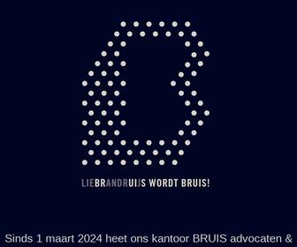 http://www.liebrandruijsadvocaten.nl
