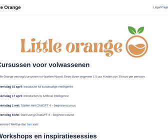 https://www.littleorange.tech