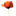 Favicon van lottesbloemen.nl