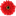 Favicon van lovingcolorsshop.com