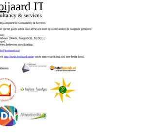 Looijaard IT consultancy & services