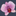 Favicon van lugtmeijerbloemen.nl