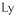 Favicon van lydiavandermeer.nl