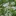 Favicon van maudkonings.nl