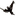 Favicon van maartjevandennoort.nl