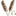 Favicon van madeleinewaalkens.nl