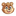 Favicon voor makeabear.nl