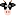 Favicon van marcuspasveer.com
