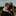Favicon van mardiefotografie.nl