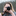 Favicon van mariskafotograaf.com