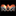 Favicon van markwitteveen.nl