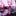 Favicon van massagepraktijkdebby.nl