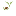 Favicon van mastersteaandcoffee.nl