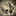 Favicon van mastinlounge.nl