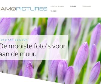 http://www.mamopictures.com