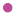 Favicon voor metpitadvies.nl