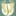 Favicon van medischevoetbijnagte.nl