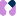 Favicon van medxpert.nl